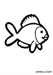 Fish4
